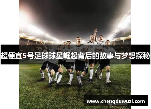 超便宜5号足球球星崛起背后的故事与梦想探秘