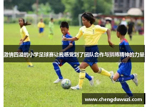 激情四溢的小学足球赛让我感受到了团队合作与拼搏精神的力量