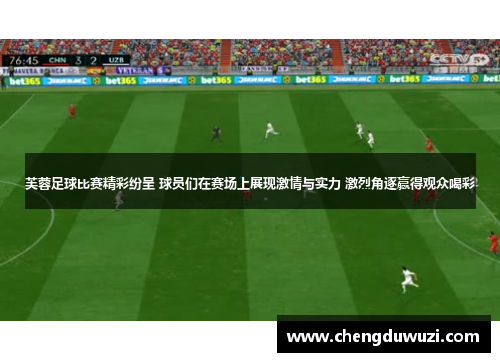 芙蓉足球比赛精彩纷呈 球员们在赛场上展现激情与实力 激烈角逐赢得观众喝彩